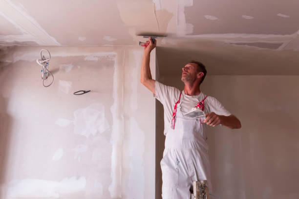 Best Drywall Installation  in Millbury, OH