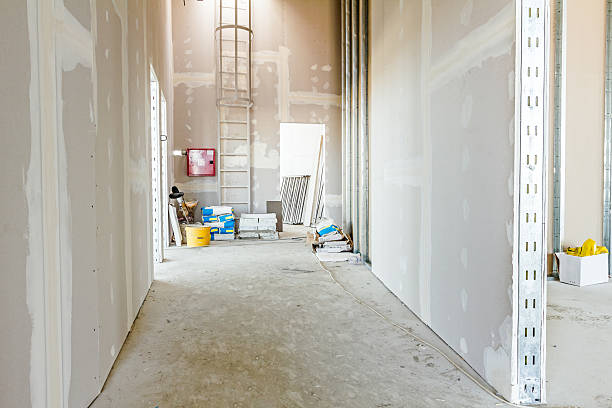 Best Drywall Removal and Disposal  in Millbury, OH